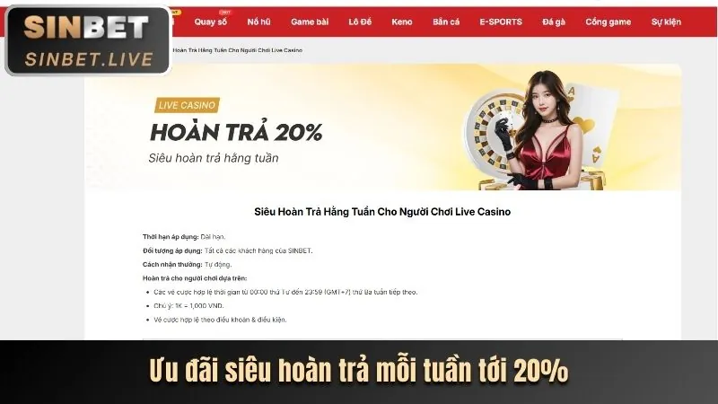 Chương trình VIP và phần thưởng độc quyền